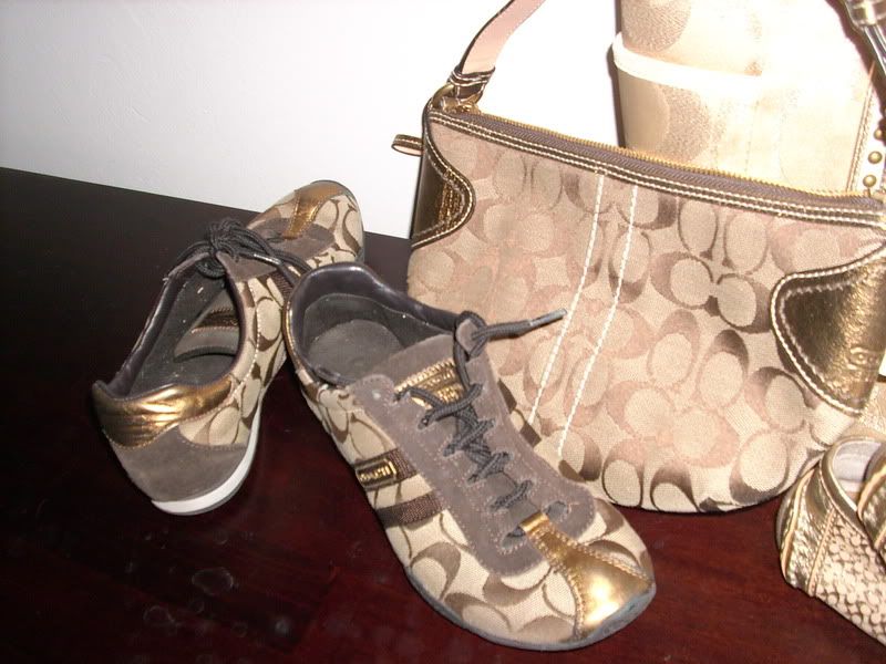 matching nike shoes and purse